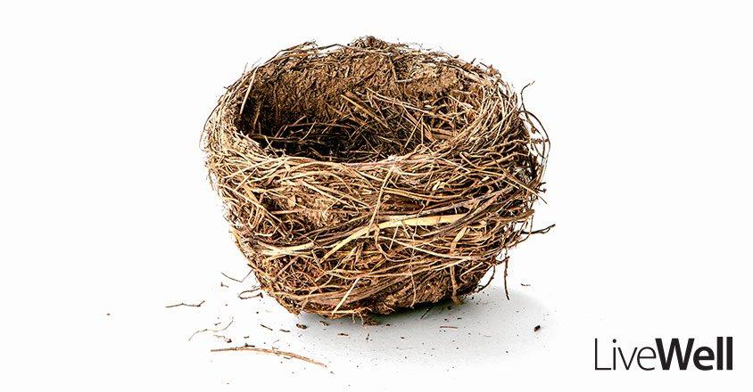 Empty Nest Syndrome